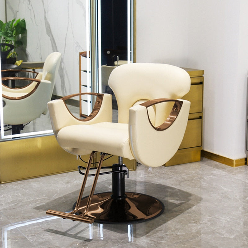 Beauty Salon Chair