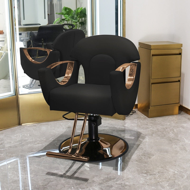 Beauty Salon Chair