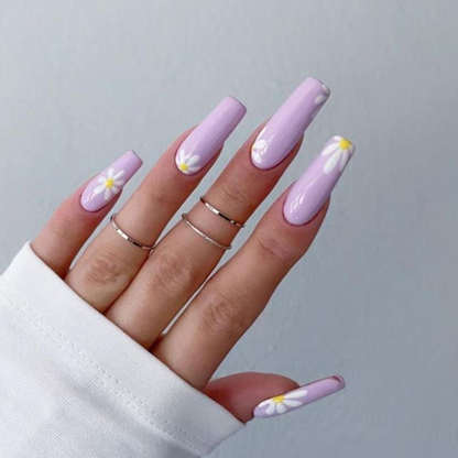 Designer Long Nails